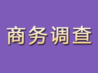 五指山商务调查